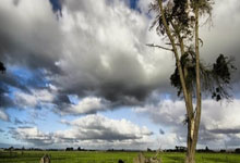 开云体育中国-希腊碾压里昂，格列兹曼统治全场