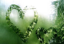 开云体育入口-塔斯马尼亚联防守体系调整，力求守住关键战局