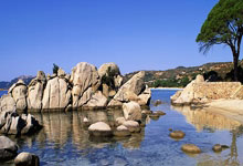 开云下载-帕尔梅拉斯球员训练强度加大，力求最佳竞技状态