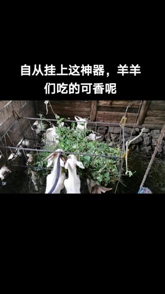 互为拉锯：比赛过程中双方拉锯不下的简单介绍