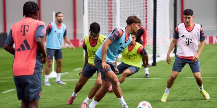 开云体育APP下载-汉堡主场表现出色，球队信心大增的简单介绍