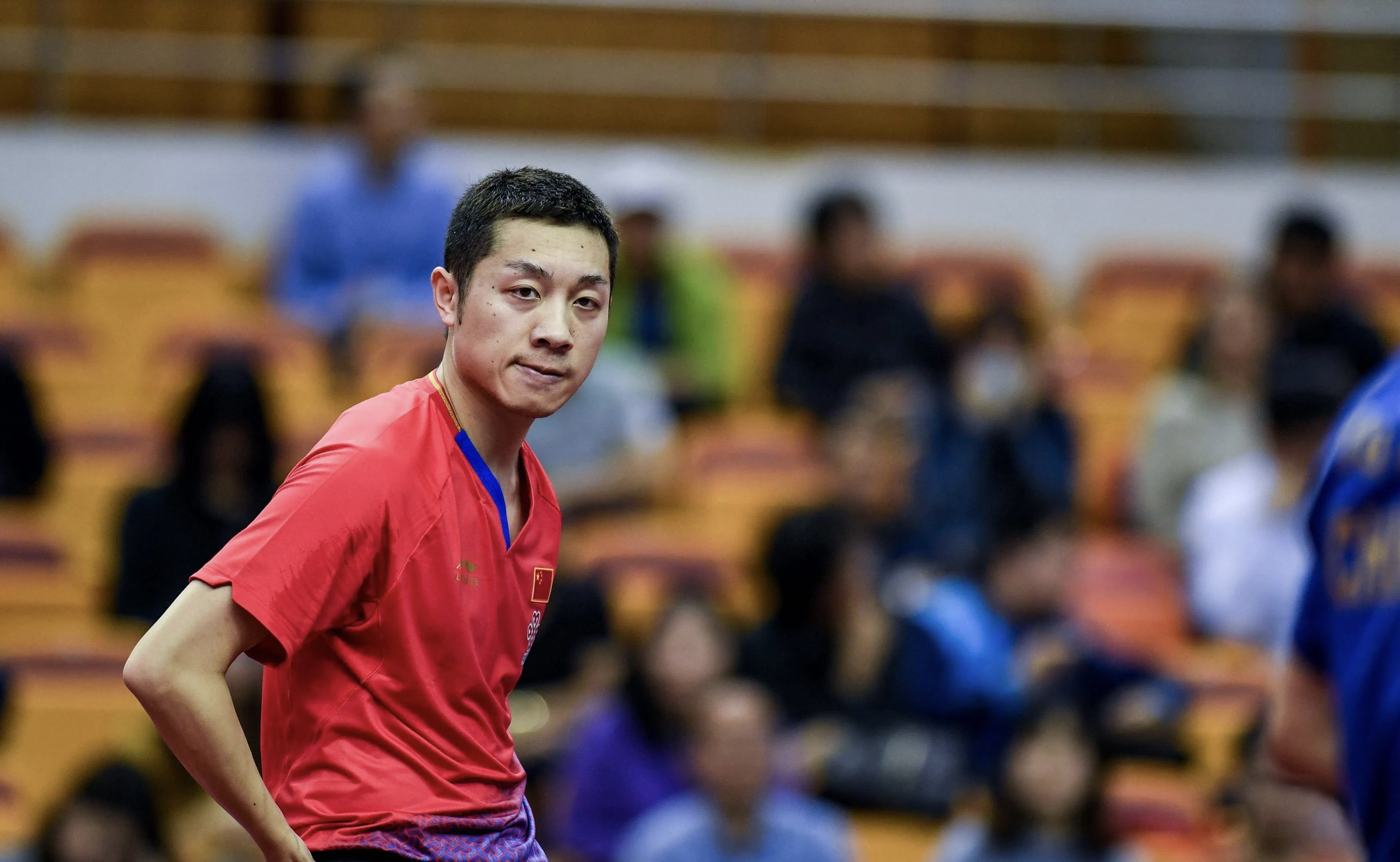 波兰乒乓球队血洗日本乒乓球队,许昕统治全场 波兰乒乓球队血洗日本乒乓球队,许昕统治全场