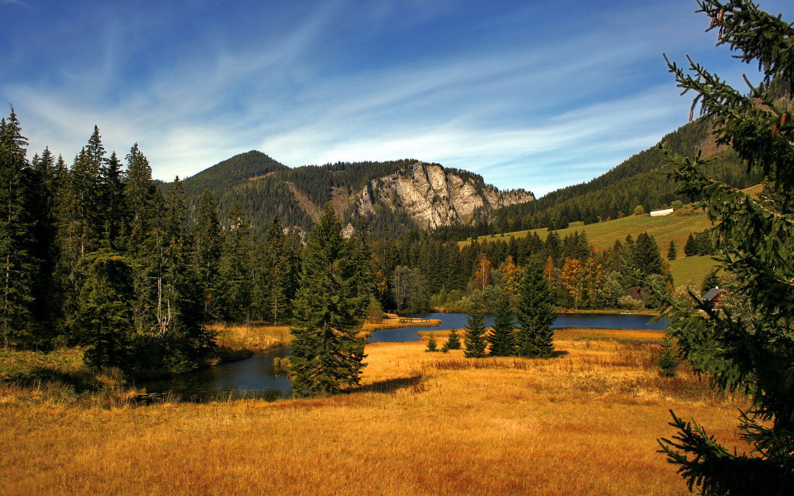 范弗利特独挑大梁,骑士力克老鹰迎连胜