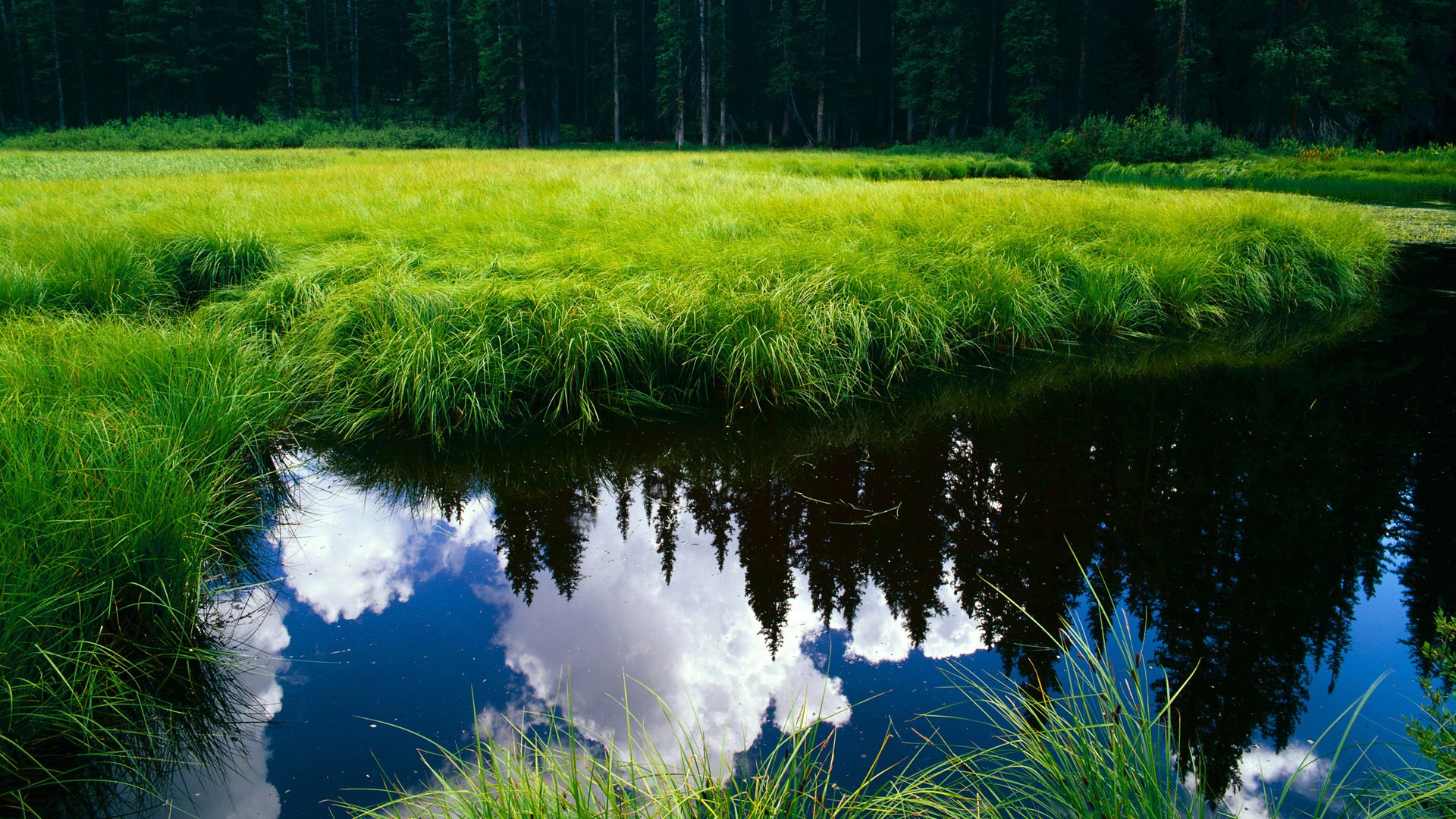 掘金战术刀锋收割的，是深圳效率之魂