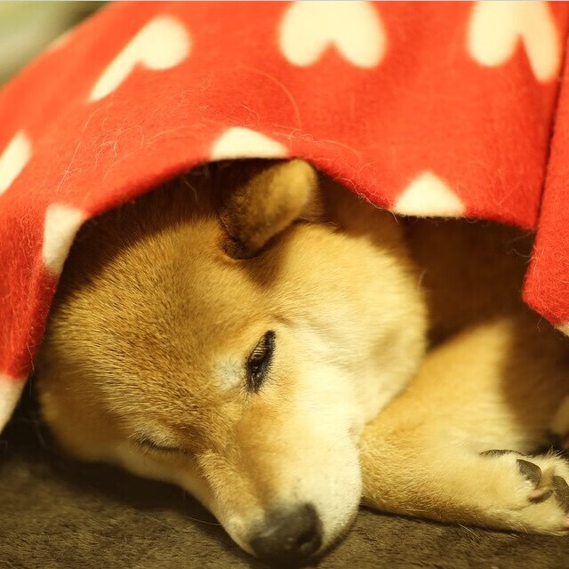 开云体育官网-新生代接管，当格林绝杀热火，少年搅动国家德比