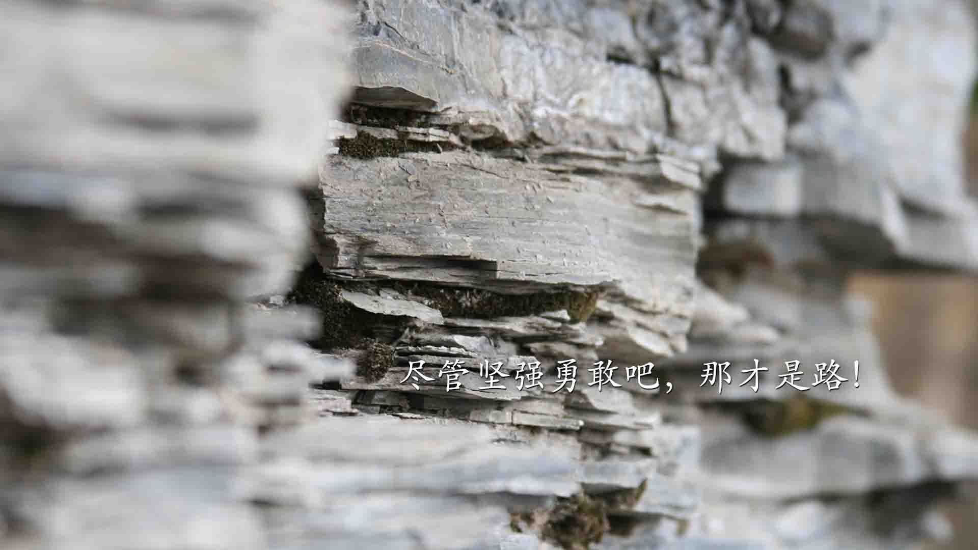 开云体育官网-范弗利特10分拉满赢数据，勇士狂胜输比赛？评分系统下的篮球真相