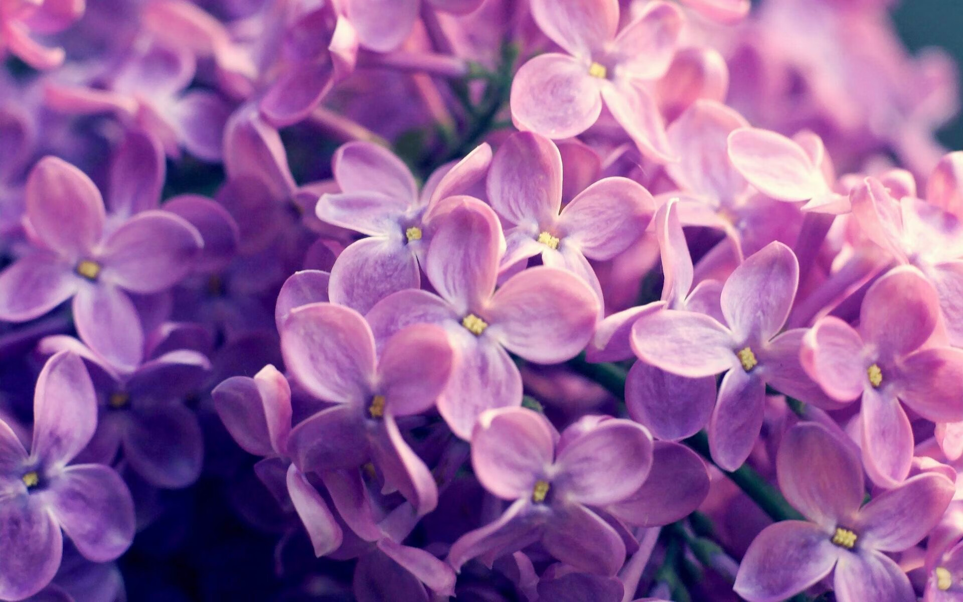 开云体育官方网站-戈麦斯帽子戏法闪耀全场，安哥拉历史性狂胜德国震撼足坛