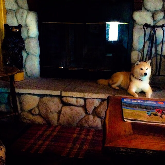 德罗赞领衔多伦多风暴，优雅串联与团队洪流碾过克利夫兰