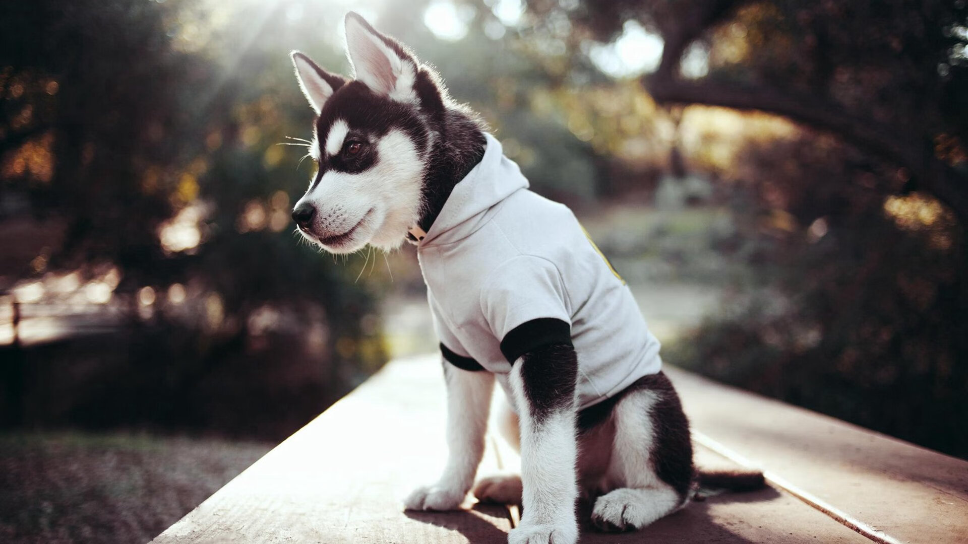 -F1新赛季揭幕战之夜，阿圭罗的跨界杆位表演