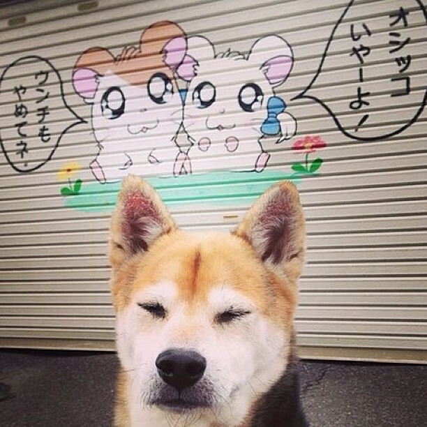 开云体育官方网站-破晓前的最后一次射门，楚阿梅尼于奥运关键夜的自我救赎