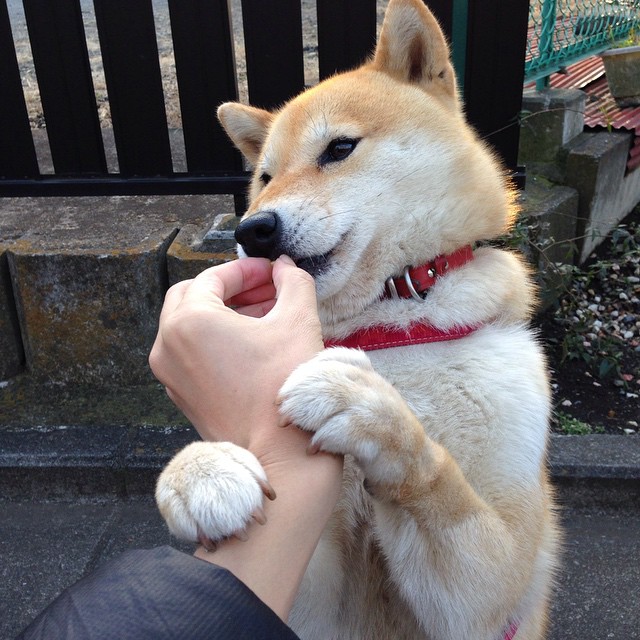 神话力量再现，希腊粉碎卡塔尔，马丁内利成为关键先生