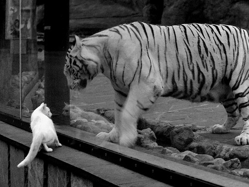 萨内统治全场，乌拉圭斩落国际米兰—一场友谊赛的传奇之夜