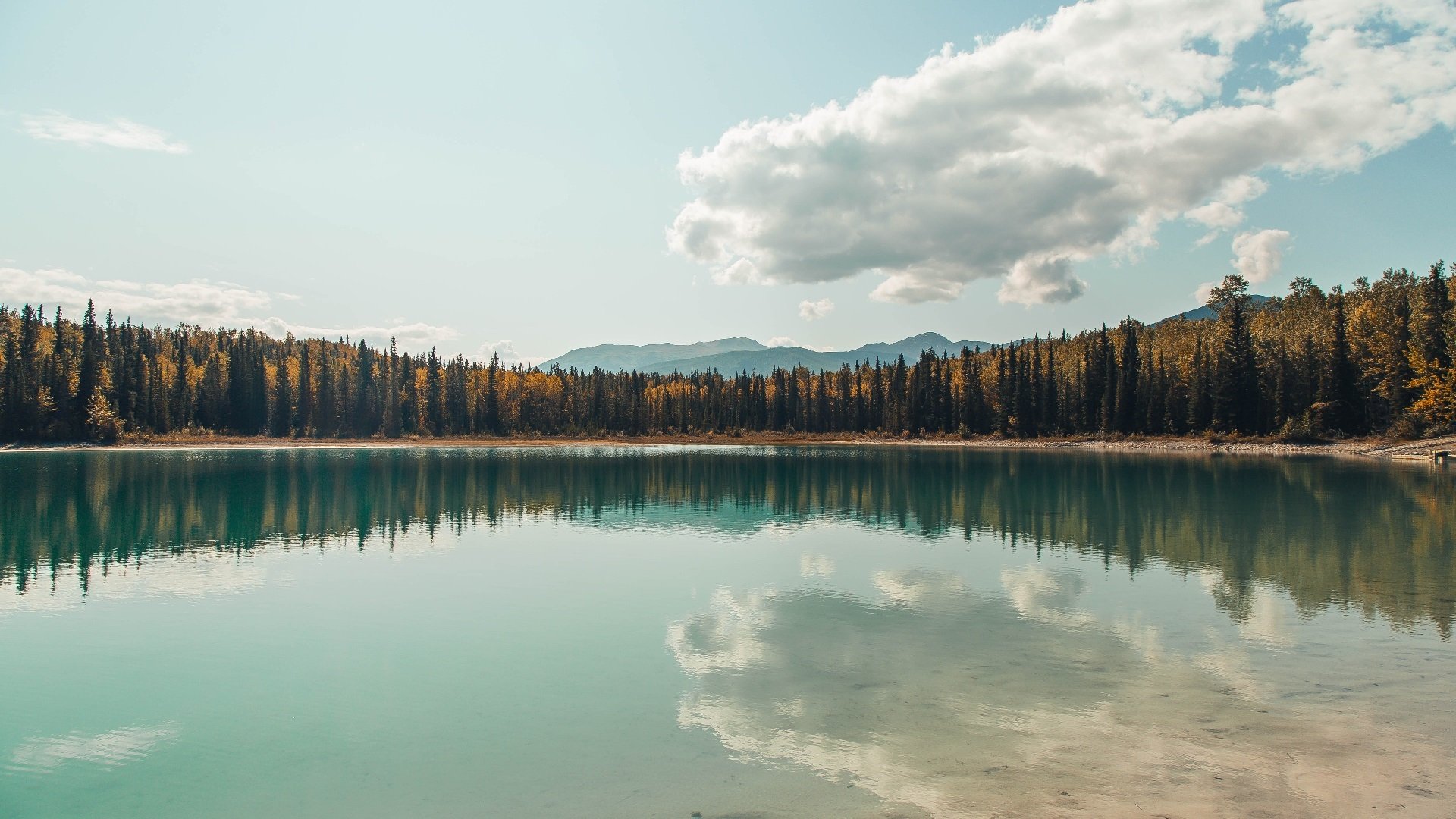 绿焰焚城，卡拉斯科单骑救主，多特蒙德碾压雷恩展露獠牙