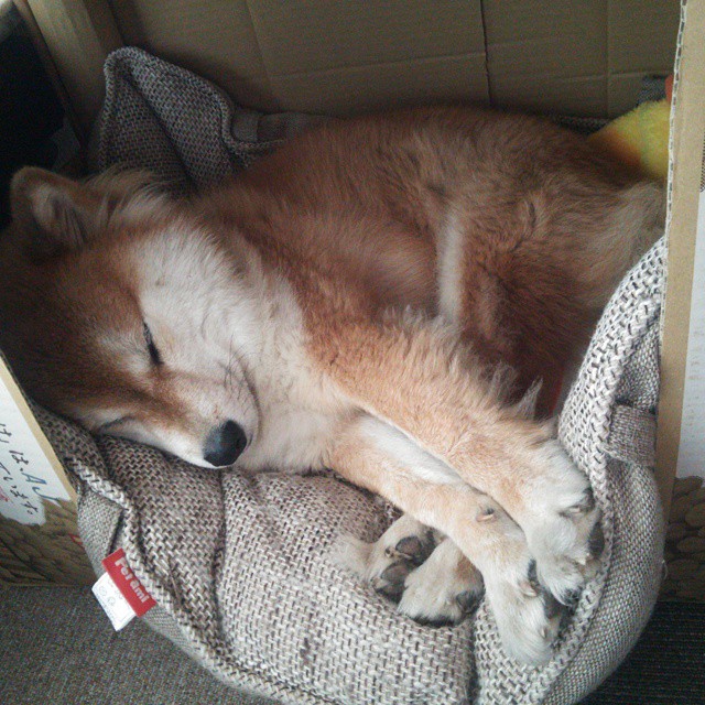 开云体育入口-双线闪耀，斯通斯爆发的艺术与芬兰的钢铁意志