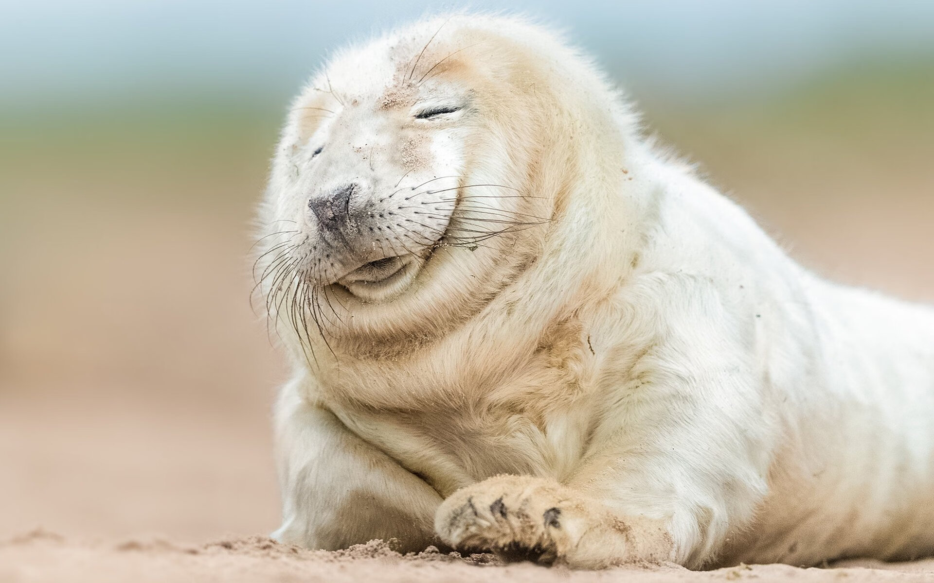 芬兰力克沙特，迪马利亚东决关键战接管比赛，体育之夜的双重奏