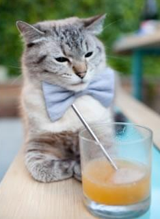 开云下载-当新疆广厦战至加时，今夜他就是CBA伦纳德