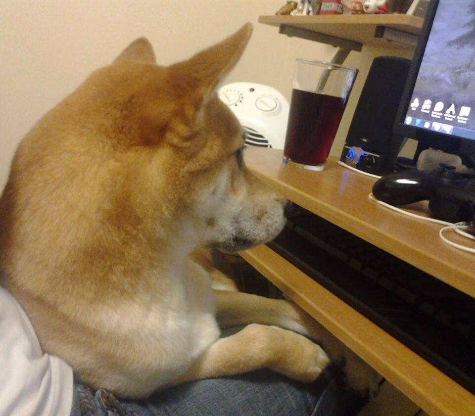 黑马改写剧本,凯塞多导演韩国绝杀,亚洲足球格局暗流涌动