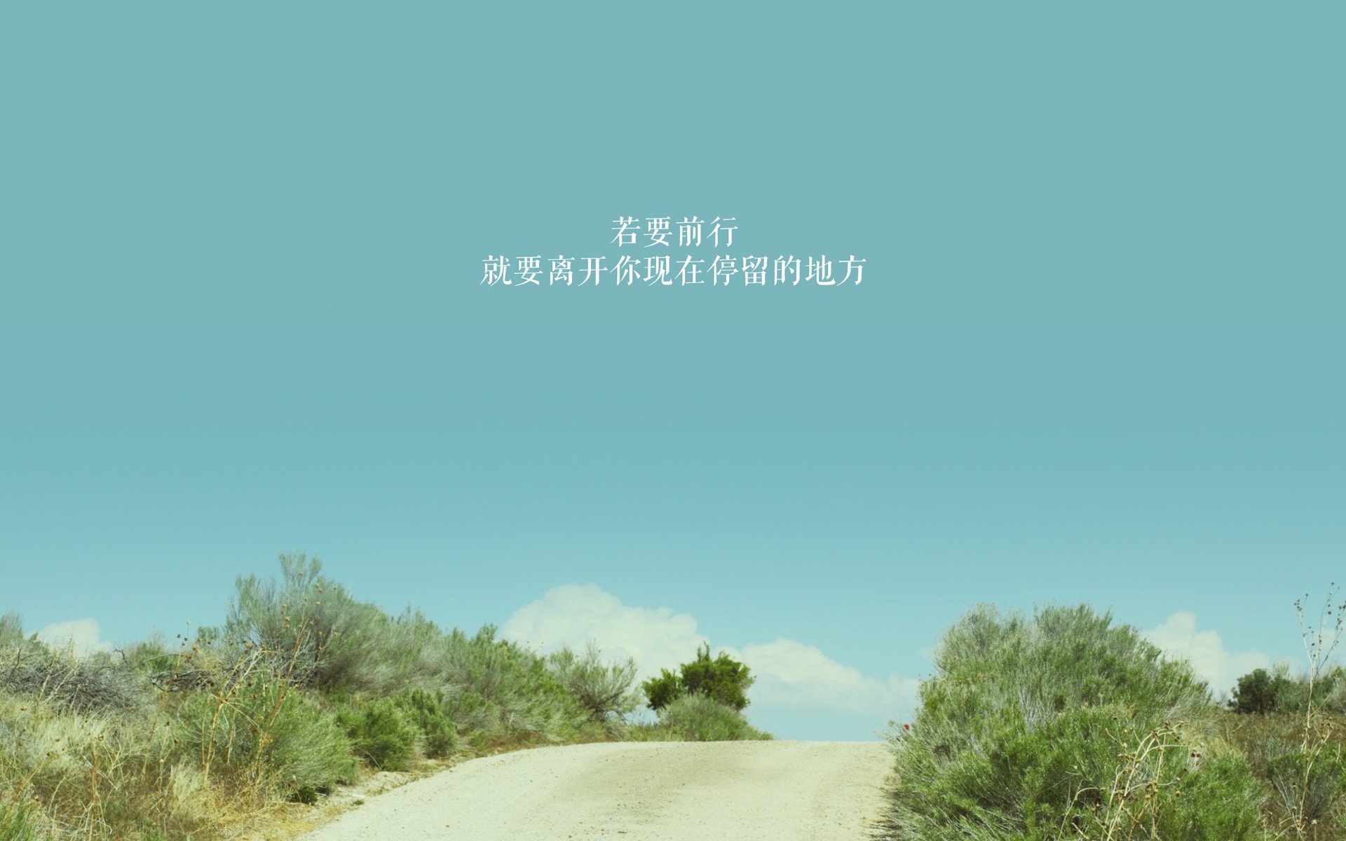 中东旋风席卷南亚雄狮,京多安导演碾压式胜利,阿联酋主场击溃印度