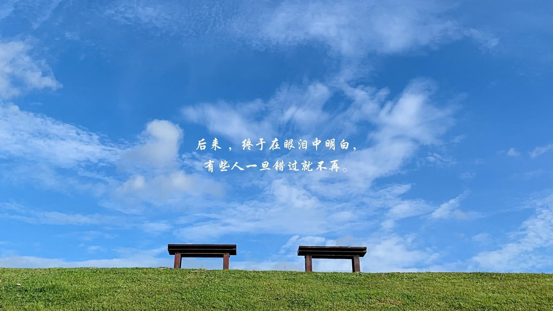 沙漠风暴席卷郁金香,2026世界杯B组沙特铁骑压阵,加维独舞点亮进攻狂潮