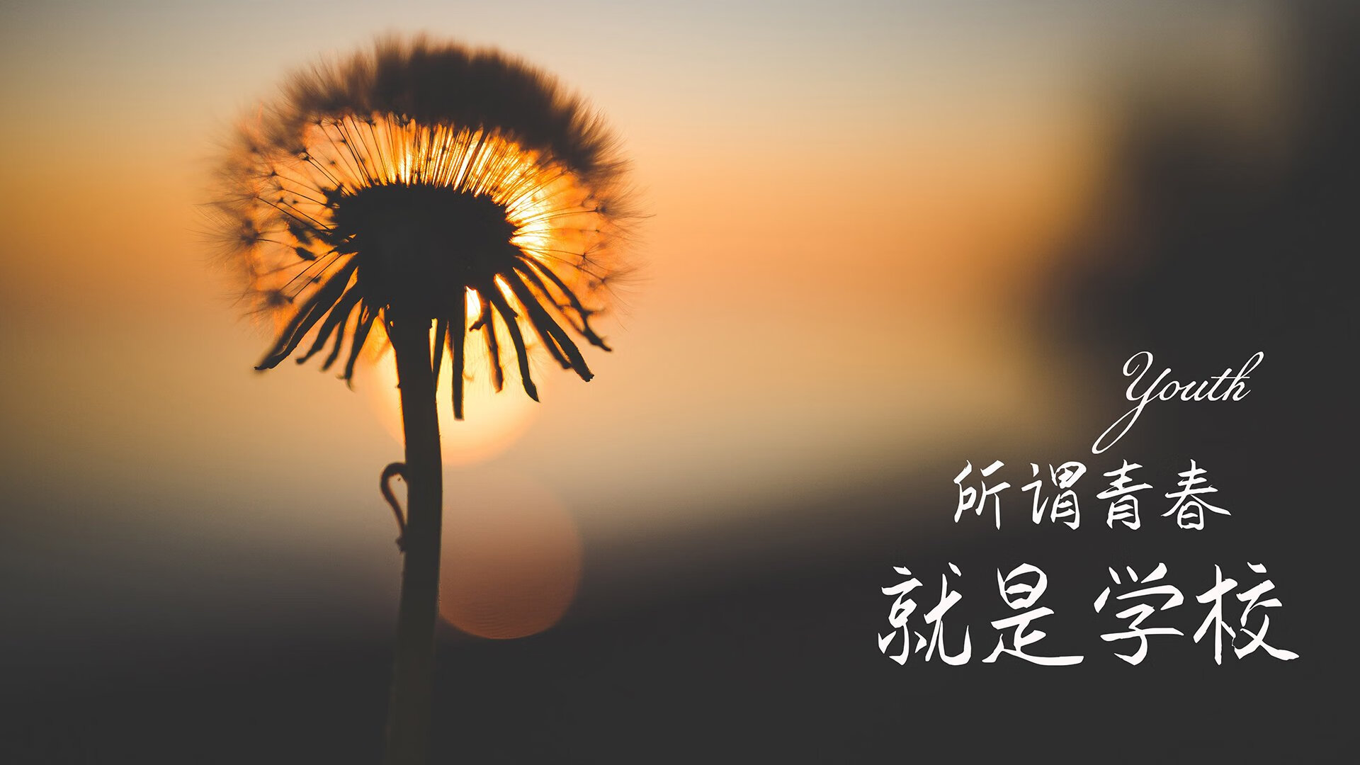 南美烽烟再起,智利压哨绝杀墨西哥,维尼修斯闪耀2026世界杯出线战
