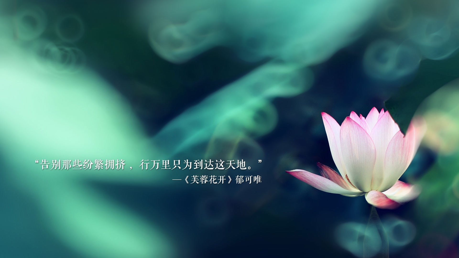 冰与火之歌,泰式旋风席卷北欧,2026世界杯H组上演惊天冷门