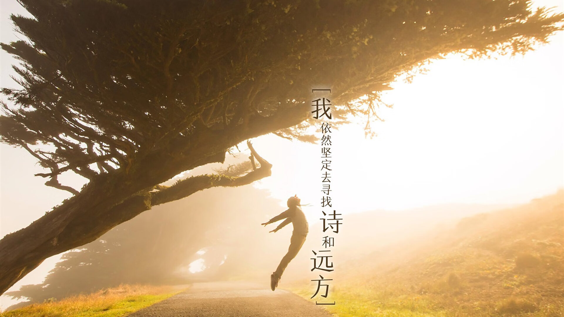 开云下载-北欧风暴席卷多哈，芬兰碾压伊朗，阿诺德一战封神